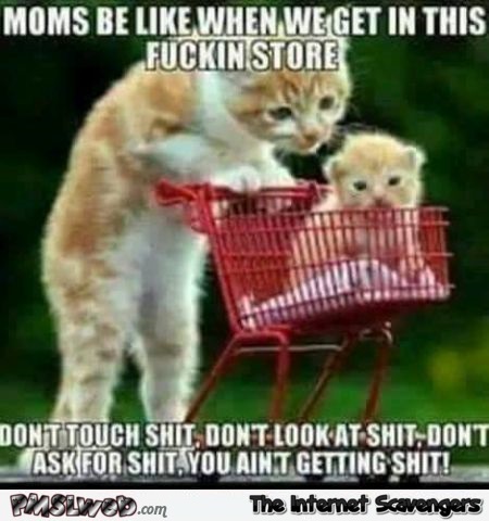 Moms before you walk into the store funny meme @PMSLweb.com