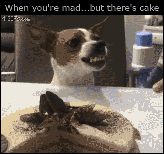 When you're mad but there's cake funny gif @PMSLweb.com