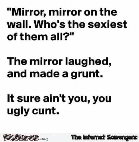 Mirror mirror on the wall sarcastic joke @PMSLweb.com