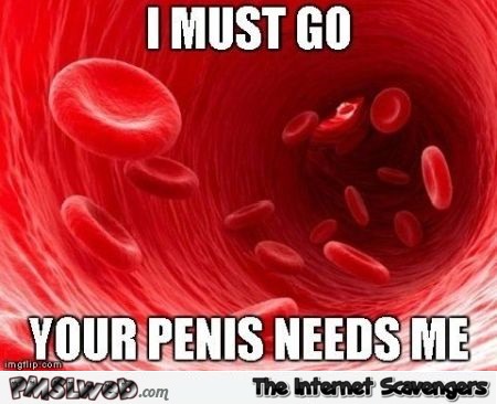 Blood must go to your penis adult meme - Naughty adult humor @PMSLweb.com