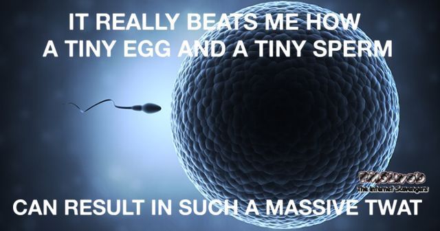 How an egg and a sperm can result in such a massive twat sarcastic humor @PMSLweb.com