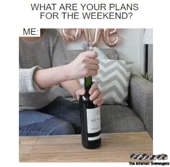 What are your plans for the weekend funny gif @PMSLweb.com