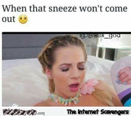 When that sneeze won't come funny adult meme @PMSLweb.com