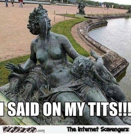 I said on my tits funny adult meme @PMSLweb.com