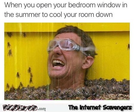 When you open your bedroom window in summer funny meme @PMSLweb.com