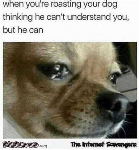 When you roast your dog not knowing that he understands funny meme @PMSLweb.com