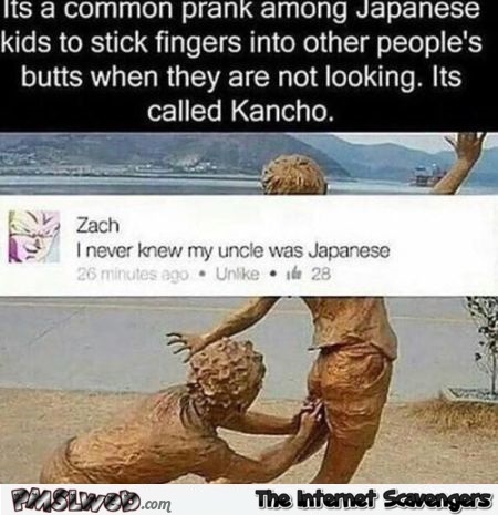 Japanese stick fingers into people's butts funny comment @PMSLweb.com