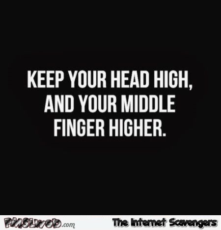 Keep your head high and your middle finger higher sarcastic quote @PMSLweb.com