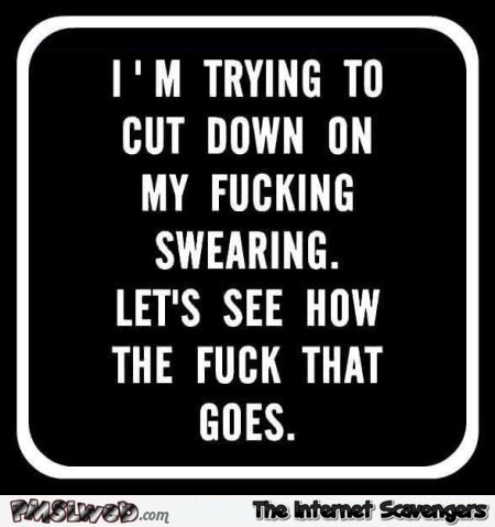 I'm trying to cut down on my swearing funny sarcastic quote - Hilarious sarcastic pictures @PMSLweb.com