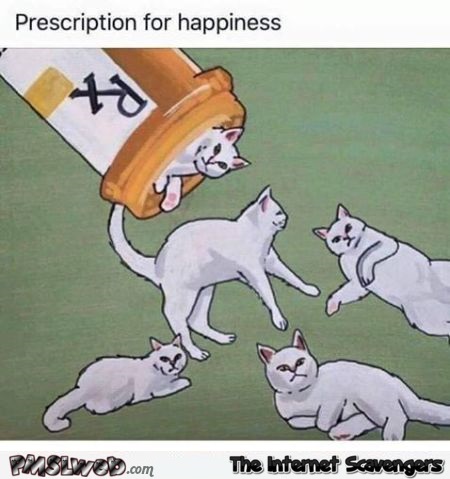 Cat prescription pills for happiness funny meme @PMSLweb.com