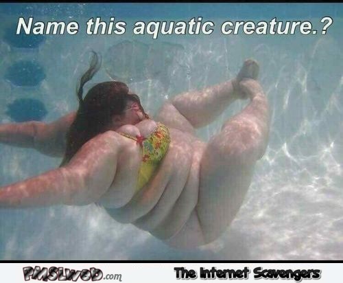 Name this aquatic creature funny sarcastic meme - Funny Sunday Nonsense @PMSLweb.com
