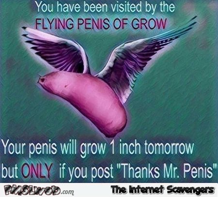 You have been visited by the flying penis of growth funny adult meme @PMSLweb.com