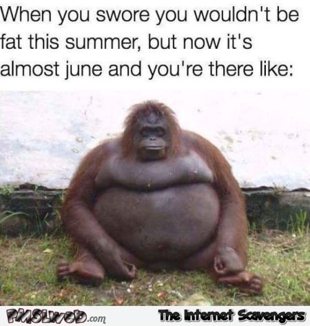 When you swore you wouldn't be fat this summer funny meme @PMSLweb.com