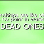 Friendships are like plants funny quote - Very funny memes and pictures @PMSLweb.com
