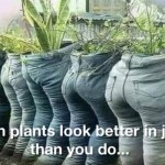 When plants look better in jeans than you do funny meme - Funny meme Wednesday @PMSLweb.com