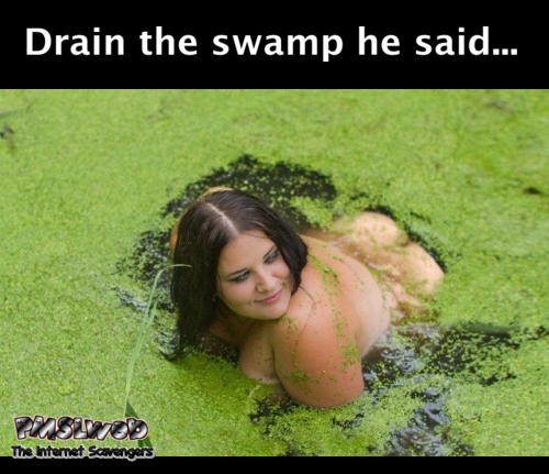 Drain the swamp he said funny adult meme @PMSLweb.com