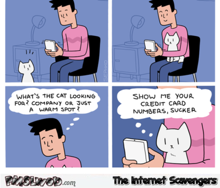 Why is my cat sitting with me funny cartoon @PMSLweb.com