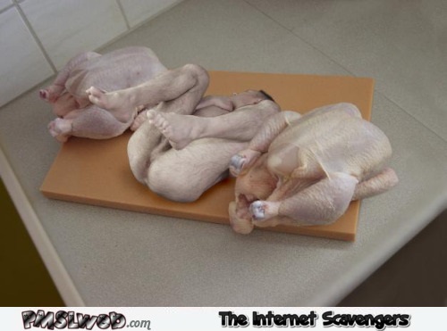 Naked man in the middle of raw chicken adult humor @PMSLweb.com