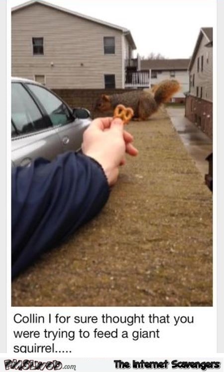 I thought you were trying to feed a giant squirrel funny meme @PMSLweb.com