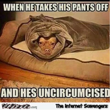 When he's uncircumcised adult meme - Hilarious adult pictures @PMSLweb.com