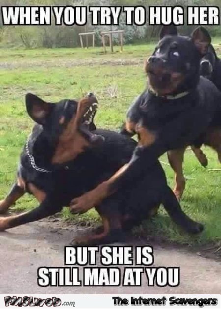 When you try to hug her but she's still mad at you funny meme @PMSLweb.com