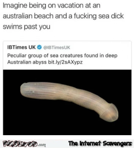 Funny Australian sea dick meme @PMSLweb.com