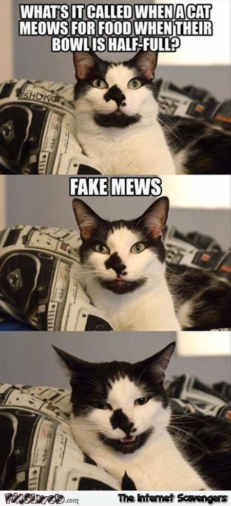 Funny fake mews meme @PMSLweb.com