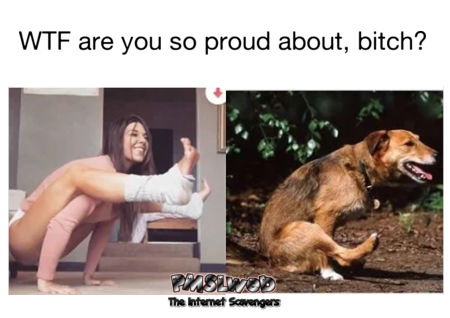 WTF are you so proud about, Bitch? Funny meme - Hilarious TGIF nonsense @PMSLweb.com