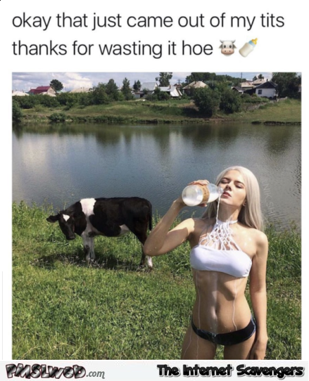 Thanks for wasting the milk hoe funny cow meme