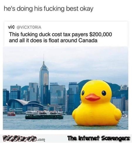 The floating duck in Canada funny sarcastic meme @PMSLweb.com