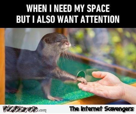 When I need my space but also need attention funny meme @PMSLweb.com