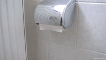 Toilet paper is grossed out funny gif @PMSLweb.com
