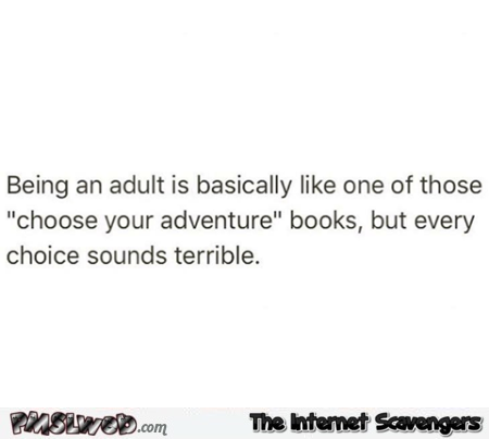 Being an adult is like one of your choose your adventure books sarcastic humor @PMSLweb.com