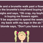 A blonde and a brunette walk passed a flower shop funny joke @PMSLweb.com