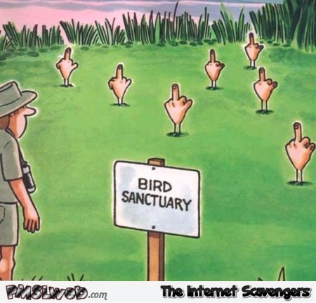Funny sarcastic bird sanctuary cartoon @PMSLweb.com