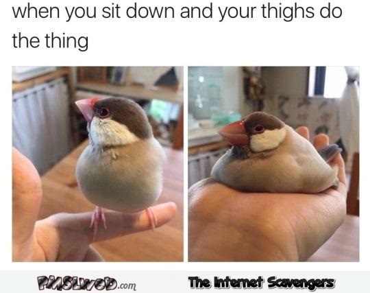 When your thighs do the thing funny meme - Saturday LMAO collection @PMSLweb.com
