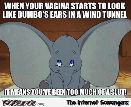When your vagina starts to look like dumbo's ears adult meme @PMSLweb.com