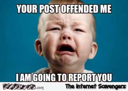 Your post offended me funny meme - Jocular memes and pictures @PMSLweb.com