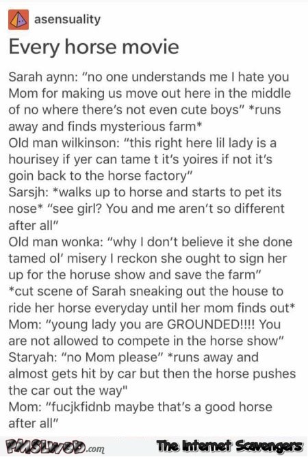 Every horse movie in a nutshell humor - Sunday Shitz n Giggles @PMSLweb.com