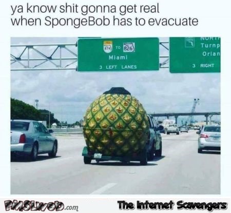 You know shit gonna get real when spongebob needs to evacuate funny meme @PMSLweb.com