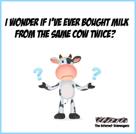 I wonder if I've ever bought milk from the same cow twice humor