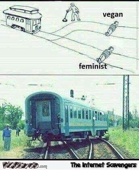 Funny vegan and feminist trolley problem meme @PMSLweb.com