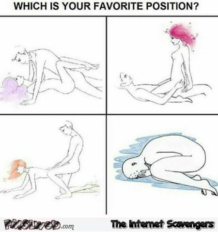 Which is your favorite position sarcastic adult meme @PMSLweb.com