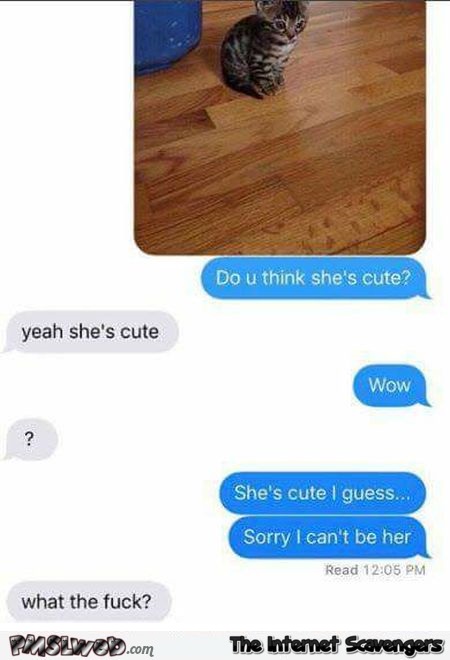 When she even gets jealous of a kitten funny text message @PMSLweb.com