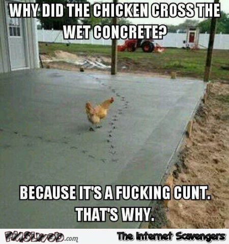 This chicken is a fucking cunt funny sarcastic meme - LOL memes and pics @PMSLweb.com