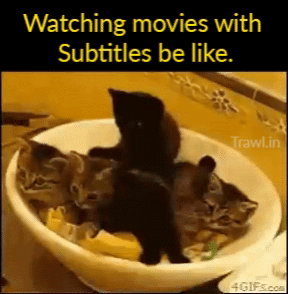 When you watch a movie with subtitles on funny gif @PMSLweb.com