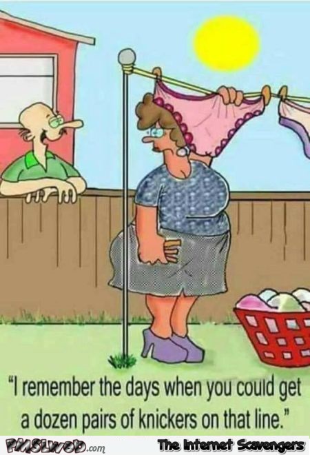 I remember when you could get a dozen knickers on the line funny cartoon @PMSLweb.com