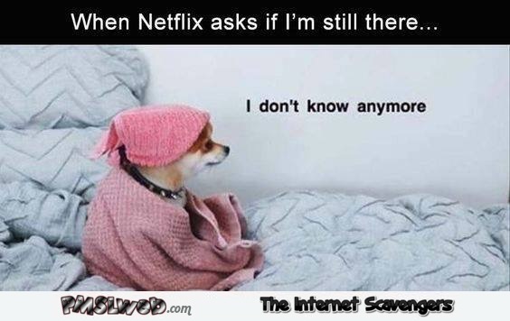 When Netflix asks if I'm still there funny meme - Daily lolz@PMSLweb.com