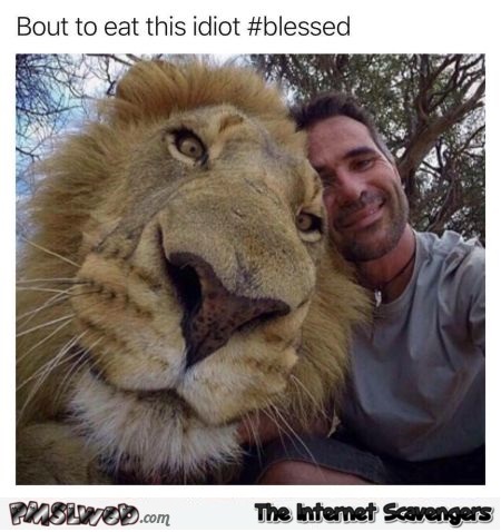 About to eat this idiot funny sarcastic Lion meme