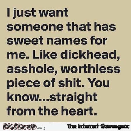 I just want someone that has sweet nicknames for me sarcastic quote